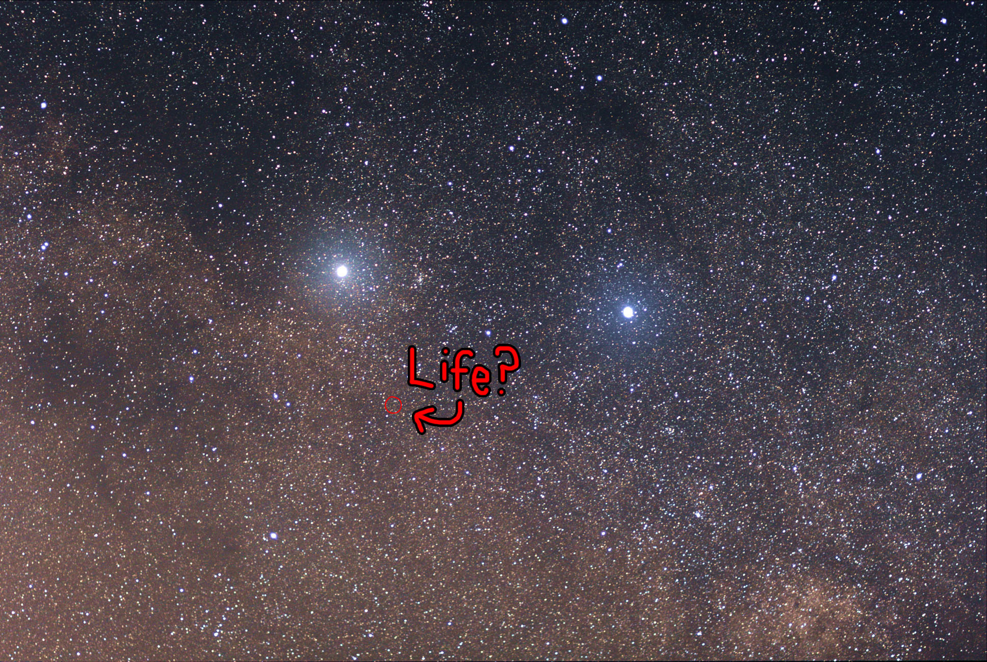 Could there be life on Proxima Centauri b?