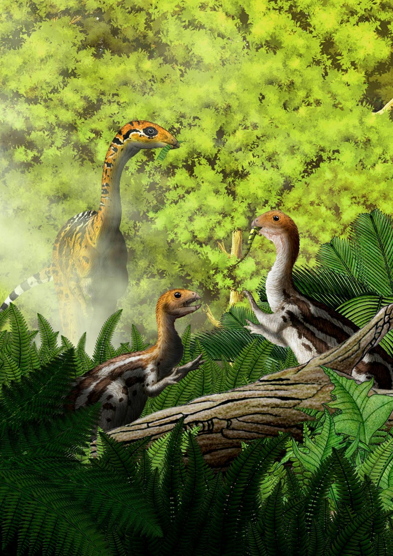 limusaurus