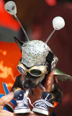 What I Learned Going to Roswell s UFO Festival Then Going roswell ufo festival aliens american culture