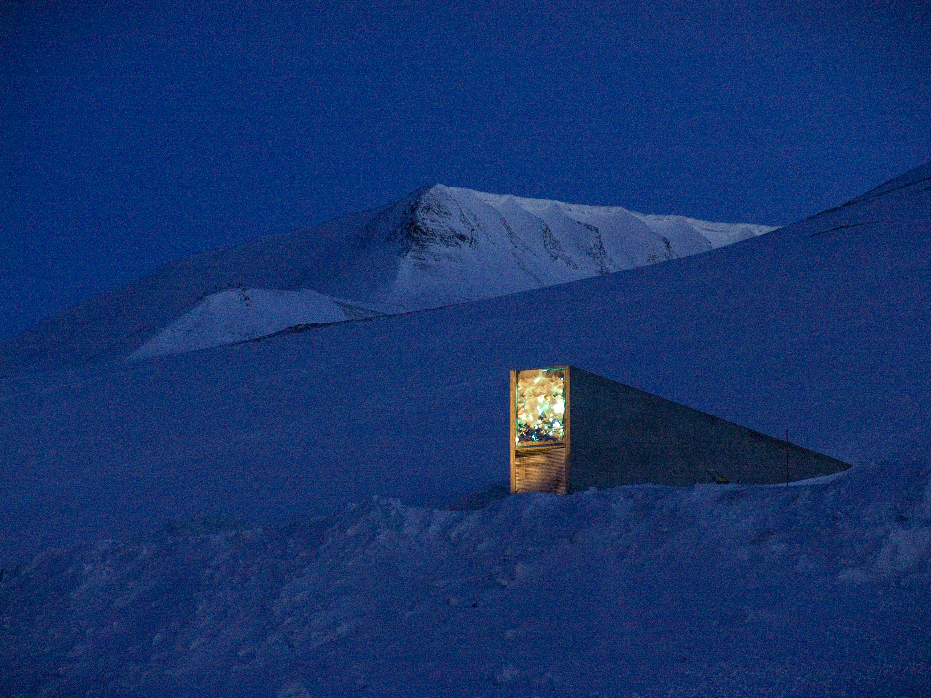 doomsday seed vault doomsday seed vault
