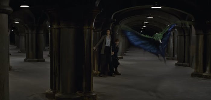 The Swooping Evil in 'Fantastic Beasts and Where to Find Them'