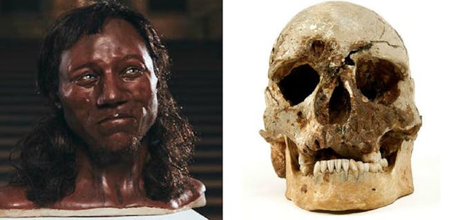 Cheddar man skull