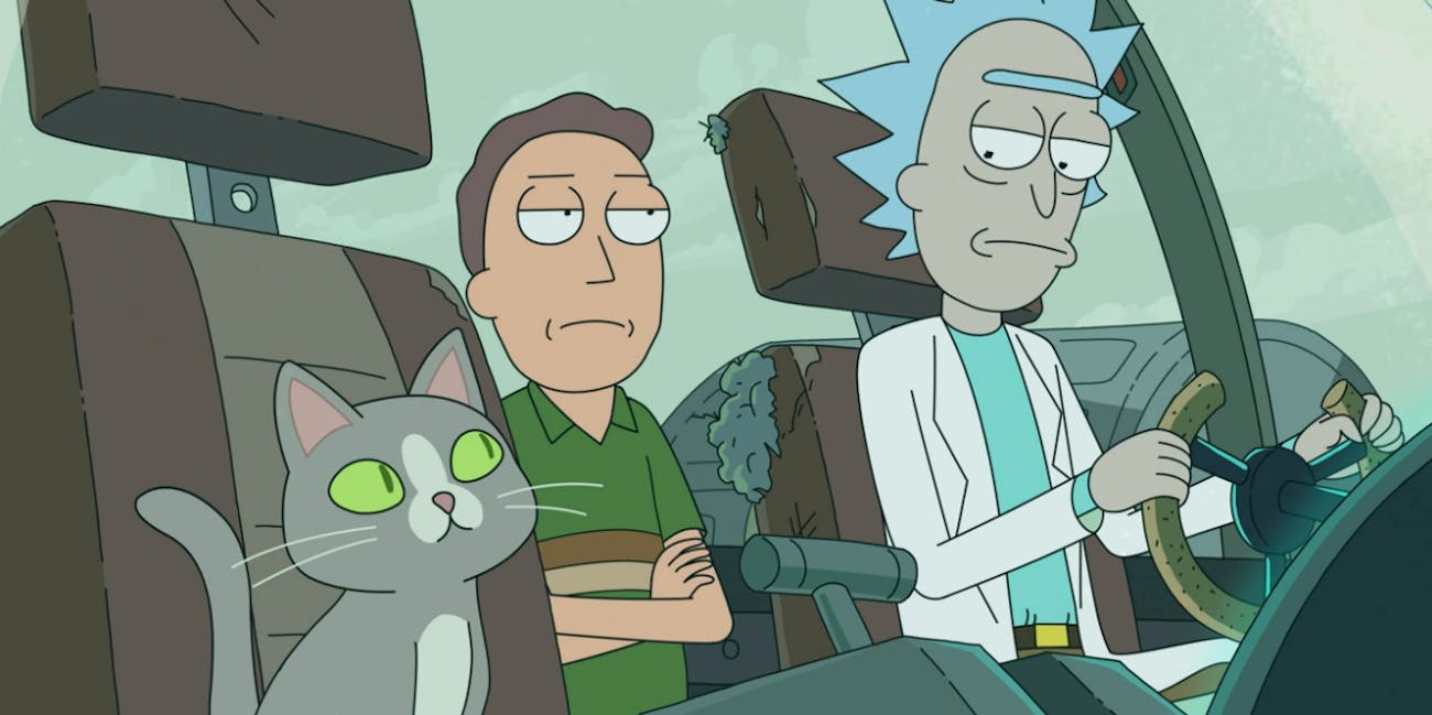 rick and morty talking cat