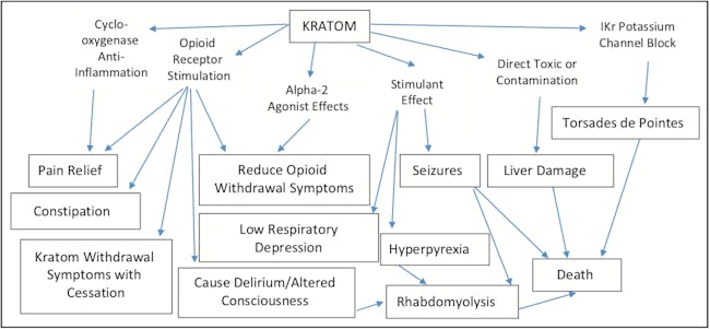 kratom effects