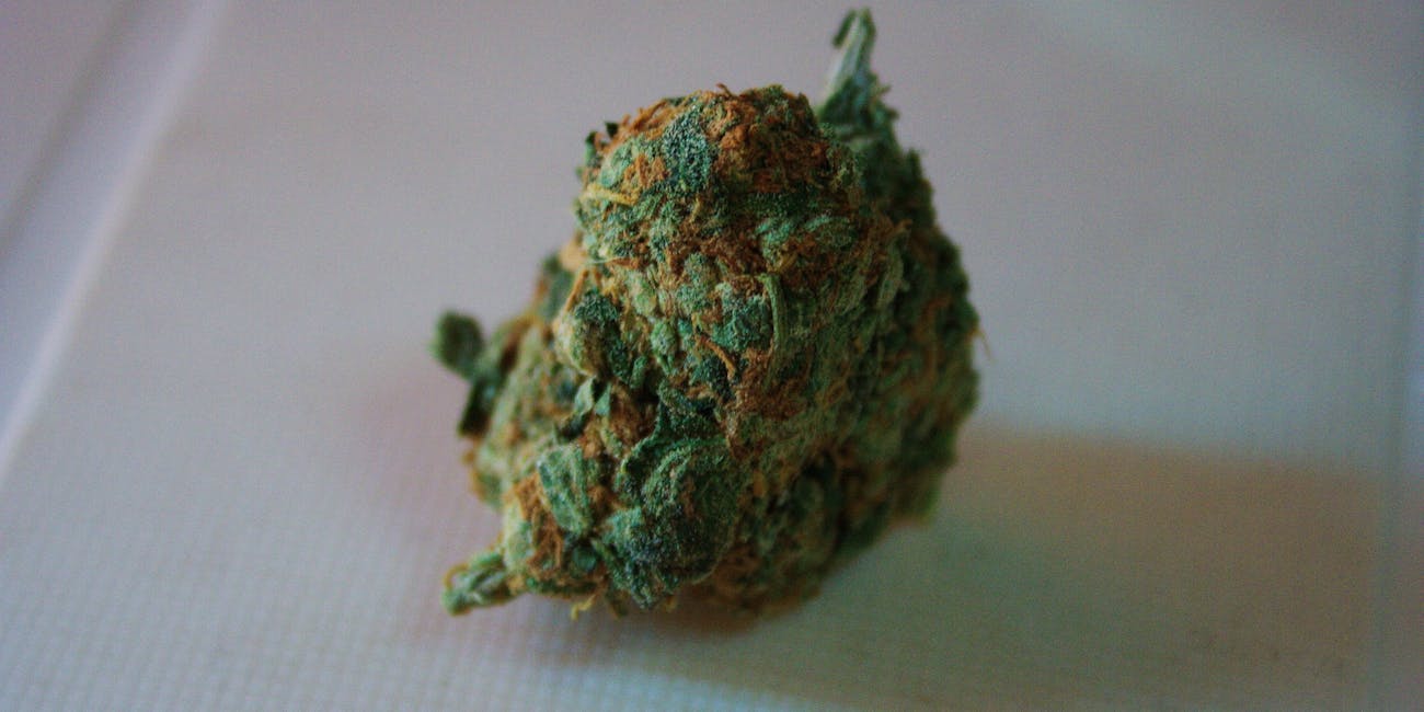 unknown strain