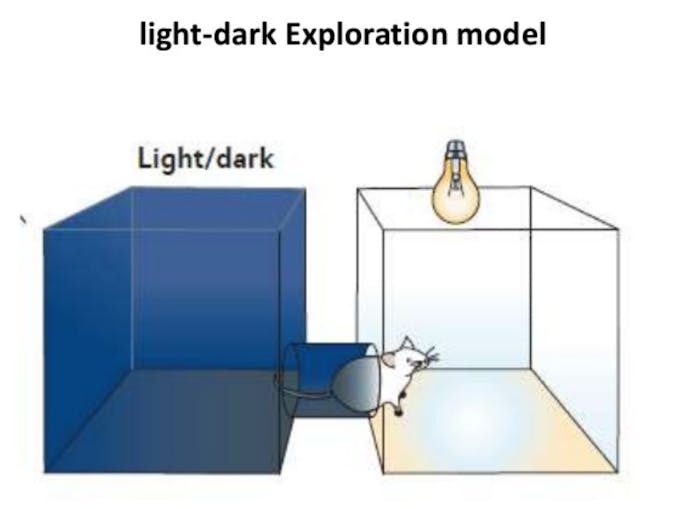 Some Foods Change DepressionLinked Bacteria in Your Gut, Say