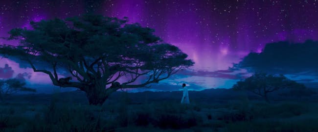 We can probably assume this scene from 'Black Panther' has something to do with the Panther God.