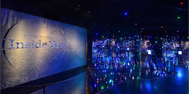 Creatures Of The Night Natural History Museum Creatures Of The Night Natural History Museum