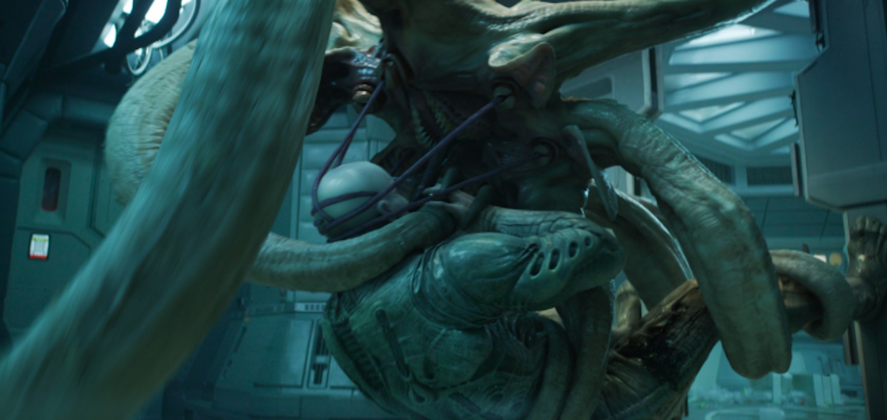 A many-tentacled alien in the 'Alien' prequel 'Prometheus' 