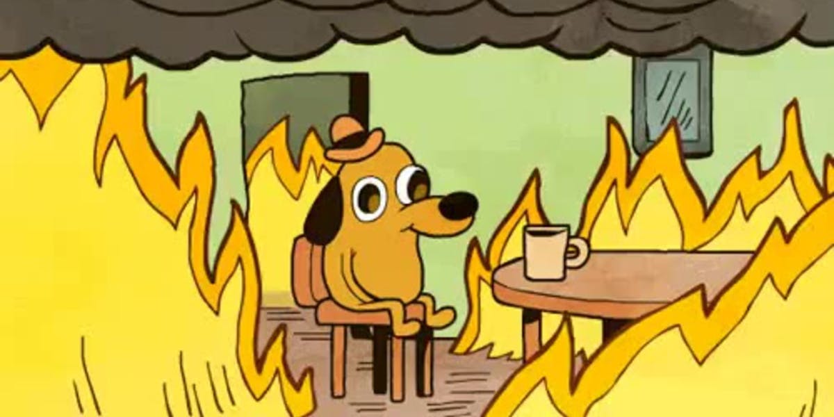 this is fine dog pop