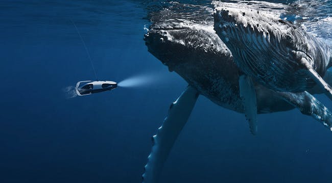 powerray power ray powervision whale drone scuba VR