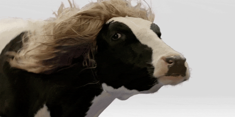 Internet of Things Day Delivers Connected Cows and Sour