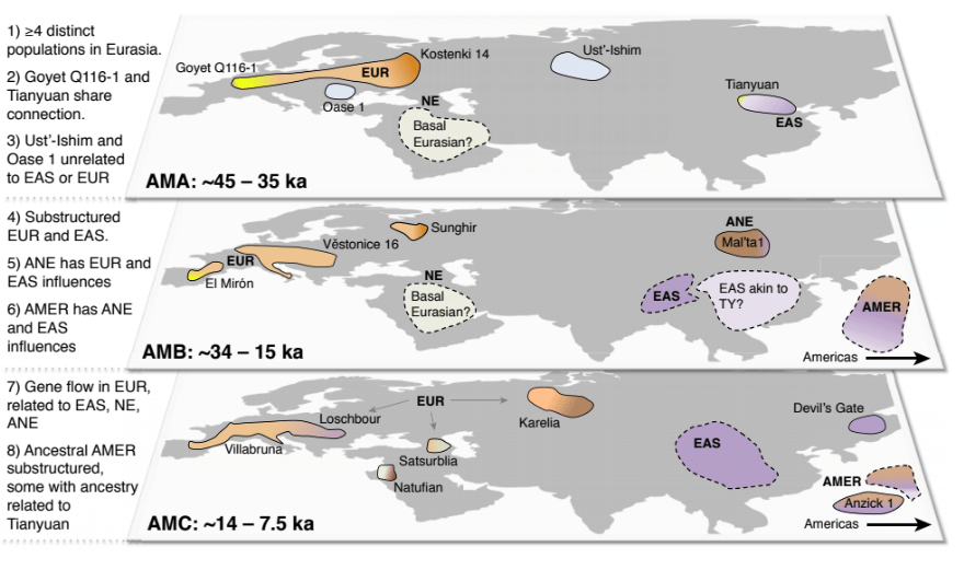 Ancient Genomes Reveal Complicated Split Into Europeans And Asians ...