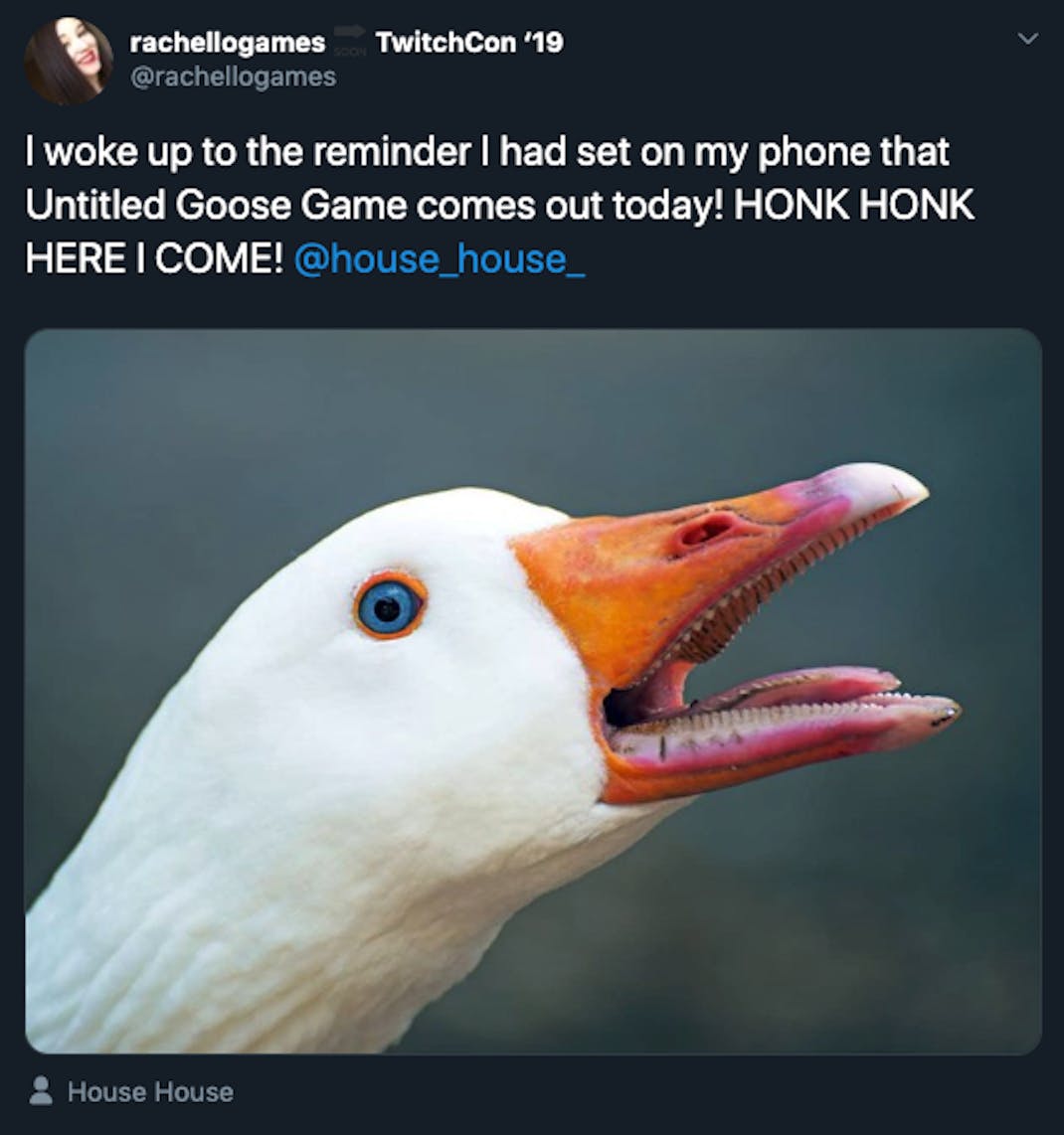 What Is 'Untitled Goose Game'? 6 Memes to Explain the Weird New Release