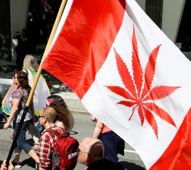 Global Marijuana March 2013 in Vancouver