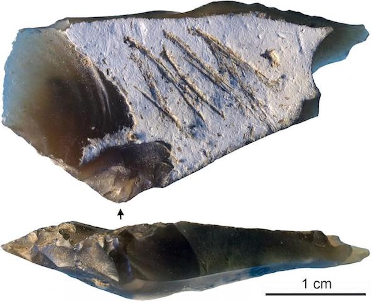 Neanderthal stone tool