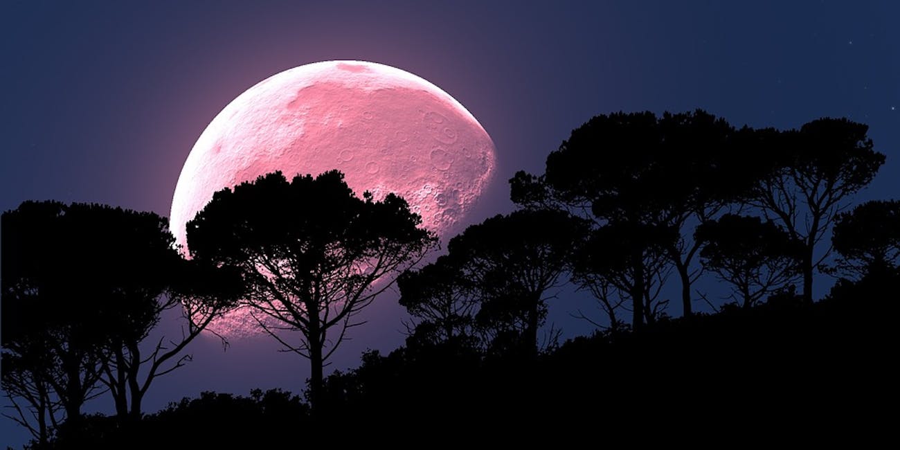 Strawberry Moon