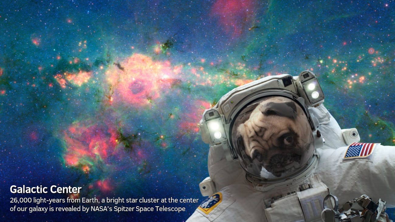 Nasa S New App Will Launch Your Selfie Into Space Inverse