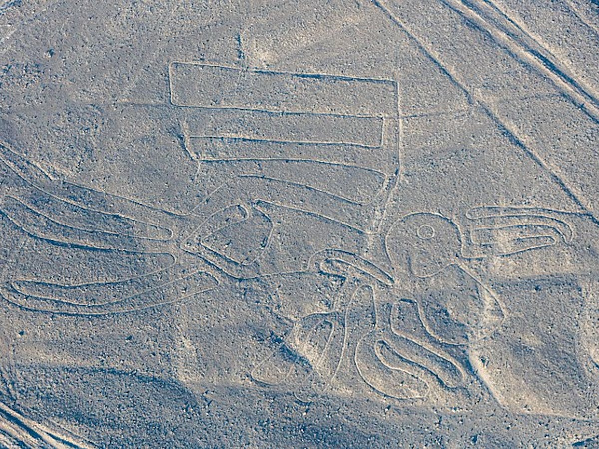 the pelican, Nazca lines 