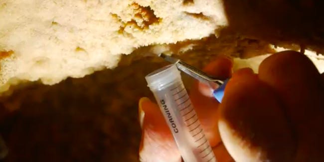carbonate sample, cave