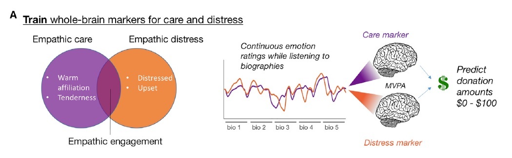 This Is Your Brain On Empathy | Inverse