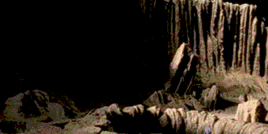 6 'Star Wars' Animals That Completely Violate the Square ...