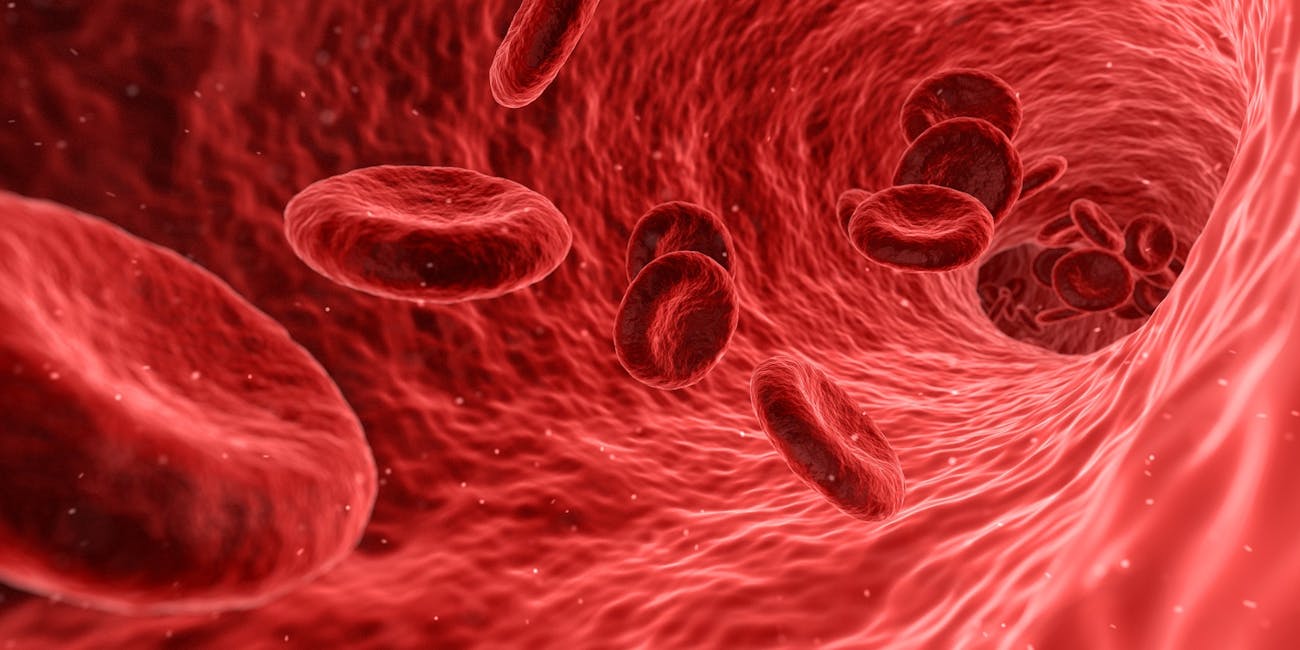 Blood Cells Feel free to use this image by giving credits to SciTechTrend.com