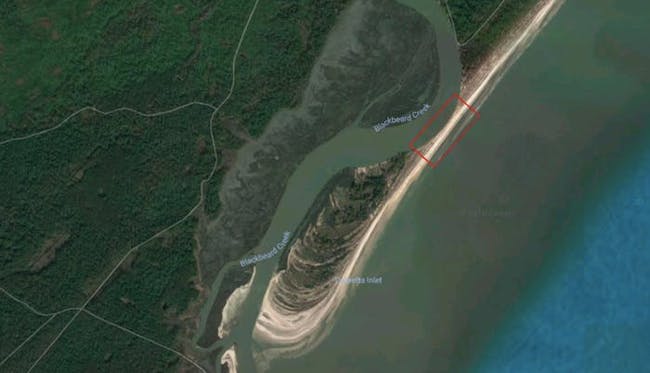 blackbeard island georgia