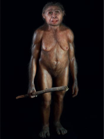 H. floresiensis