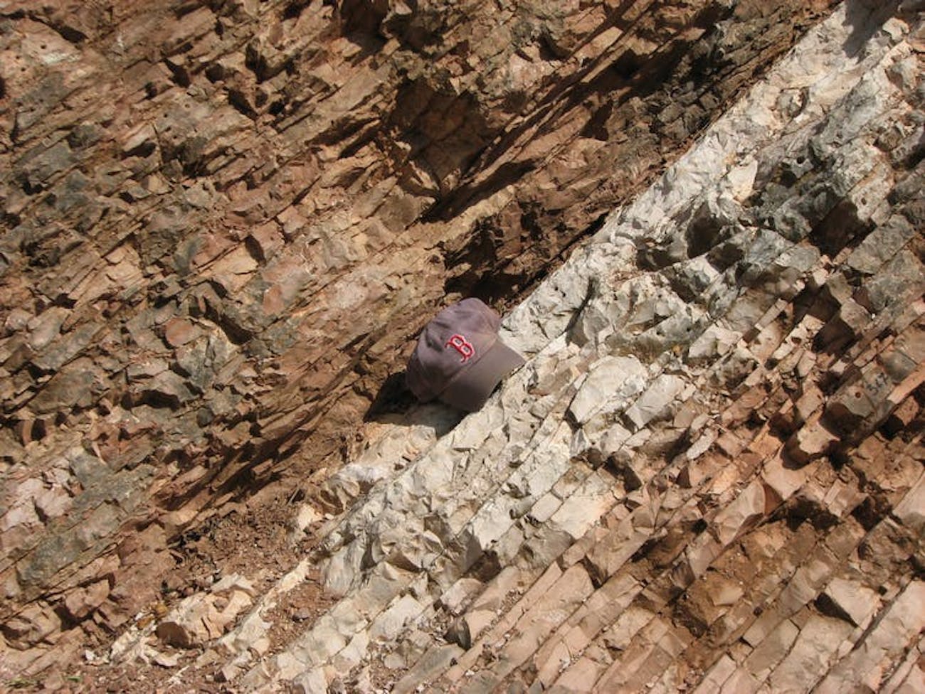 paleogene extinction event