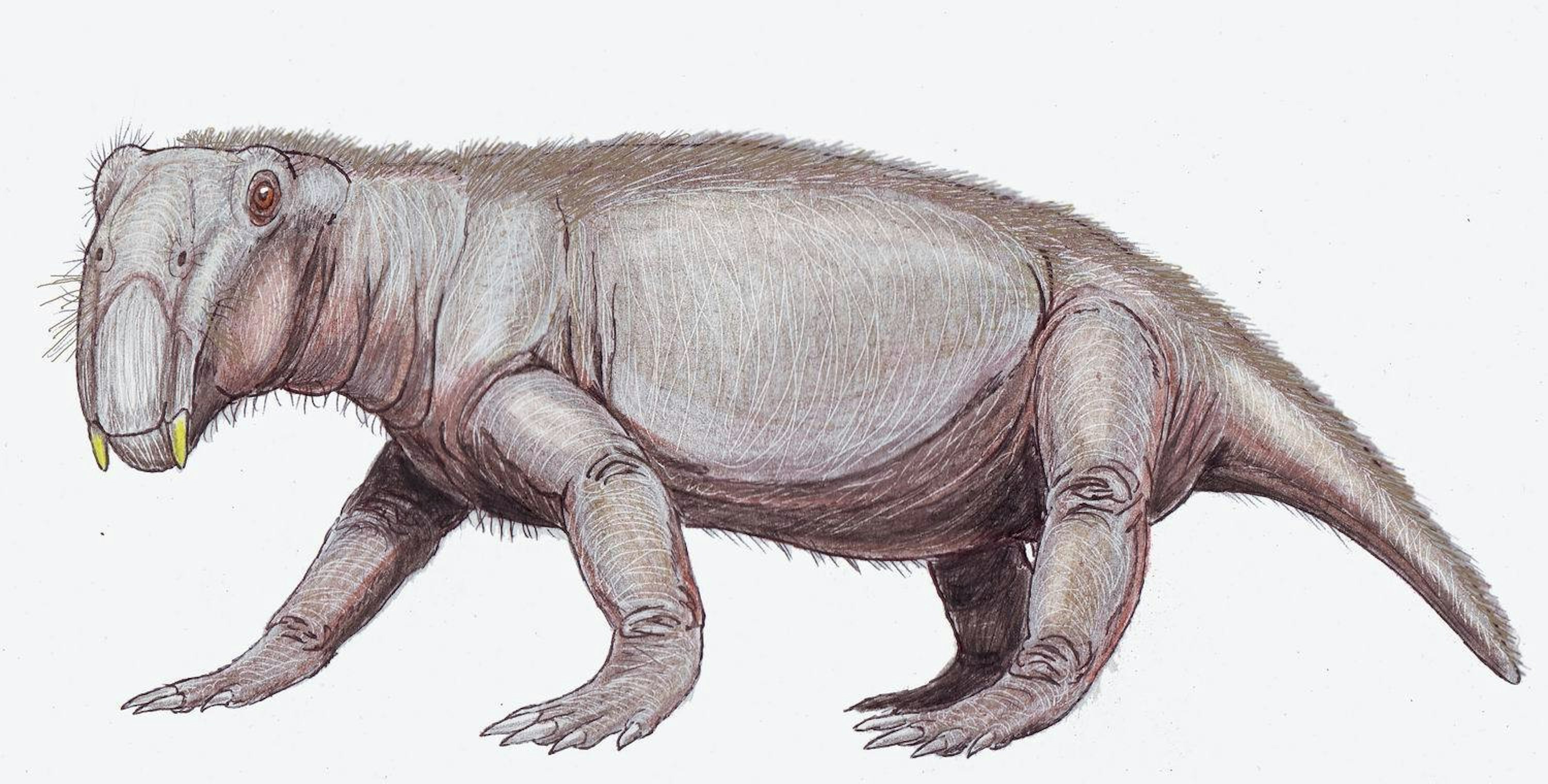The Permian-Triassic Boundary Is the Worst Mass Extinction You've Never