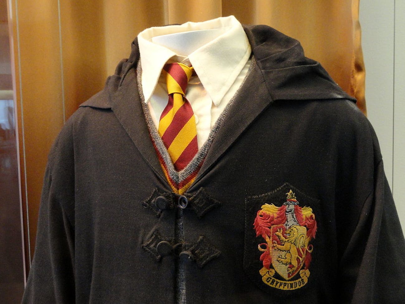 harry potter Gryffindor costume