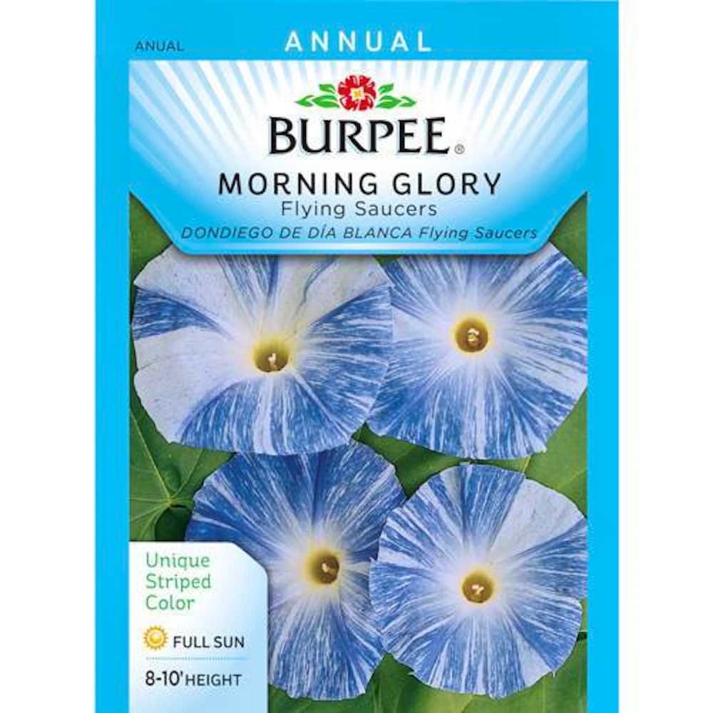 Morning Glory Seeds From Home Depot Are a Good Proxy for LSD (Until You