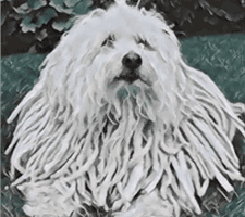 Facebook and Google's Battle to Make Cool Video Filters Rages On