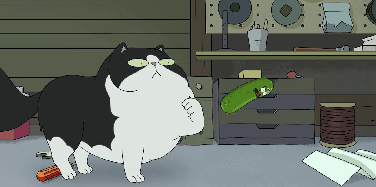 pickle rick snake joke