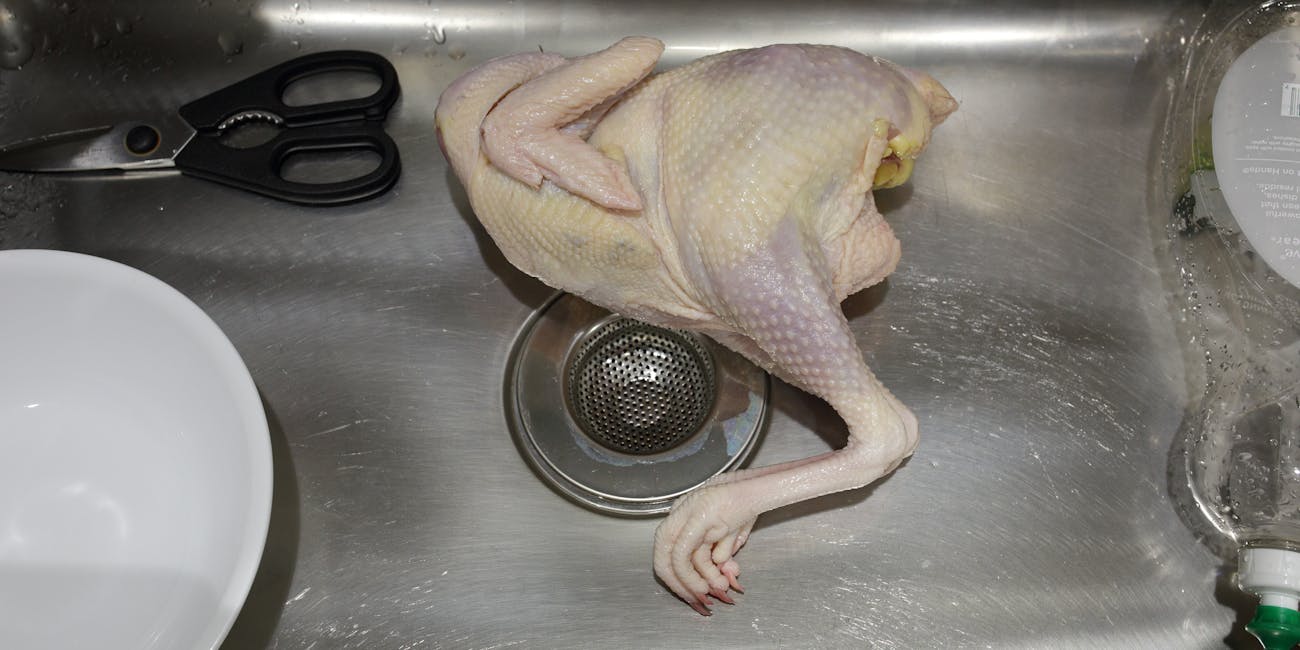 Is It Safe To Season Chicken In The Kitchen Sink Inverse