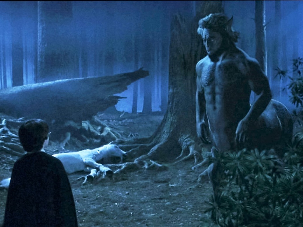 Гарри Поттер и философский камень в запретном лесу