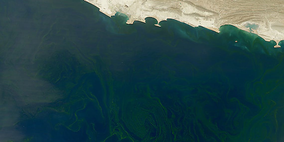 dead zone arabian sea