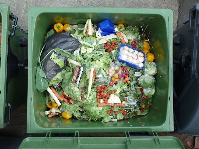 Wasted vegetables and fruits of a hypermarket from one or two days. Some of the more impressing stuff in there was found underneath the surface - like about one carton of bananas.