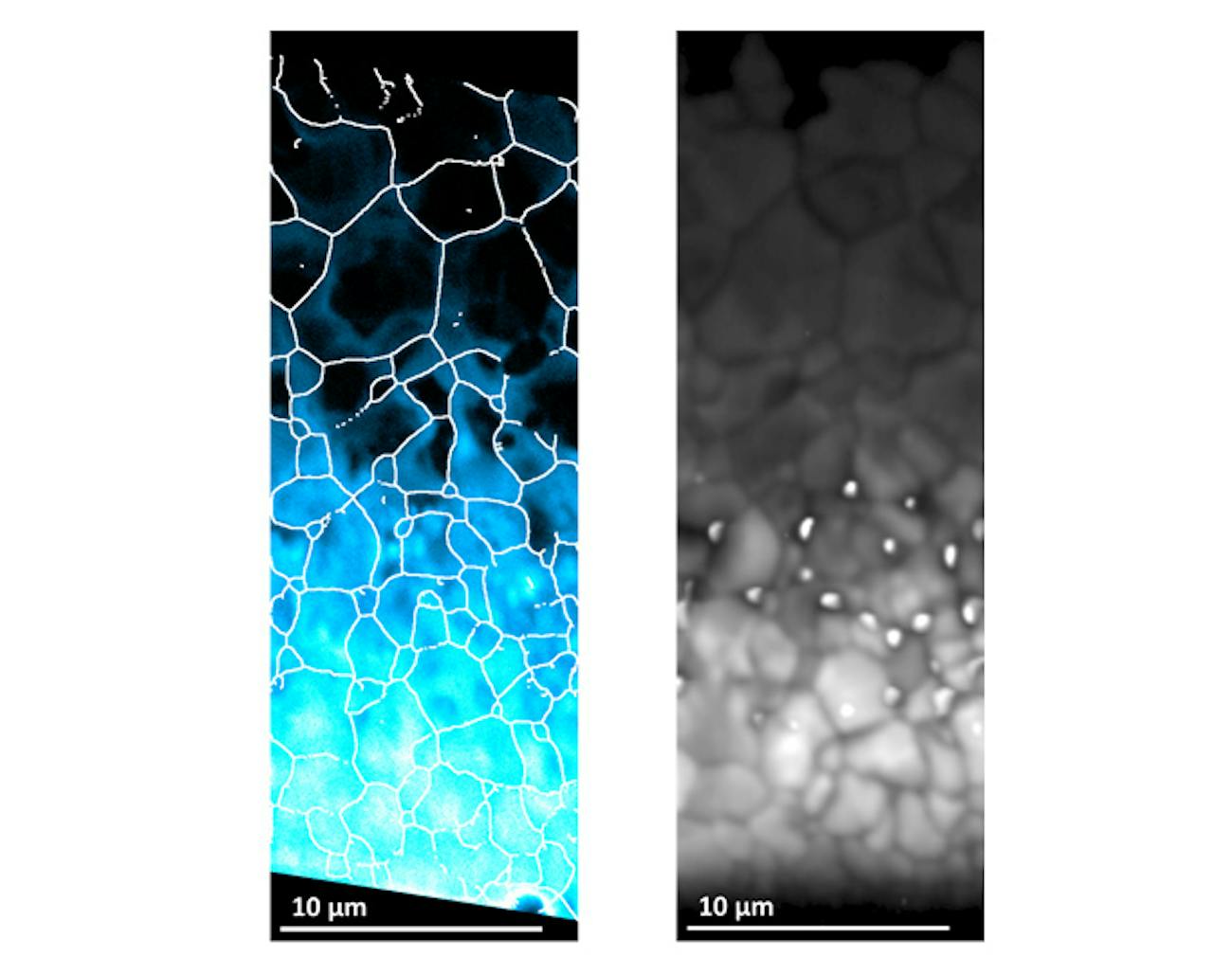 The comparison that shows the effects of selenium on solar cells.