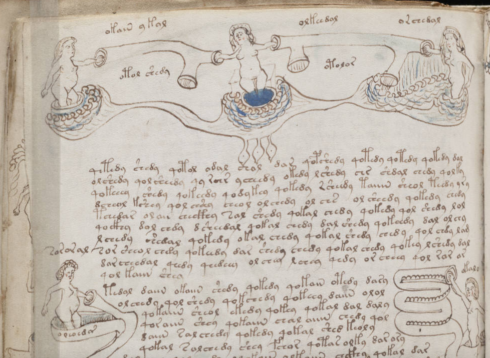 the voynich manuscript book the voynich manuscript book