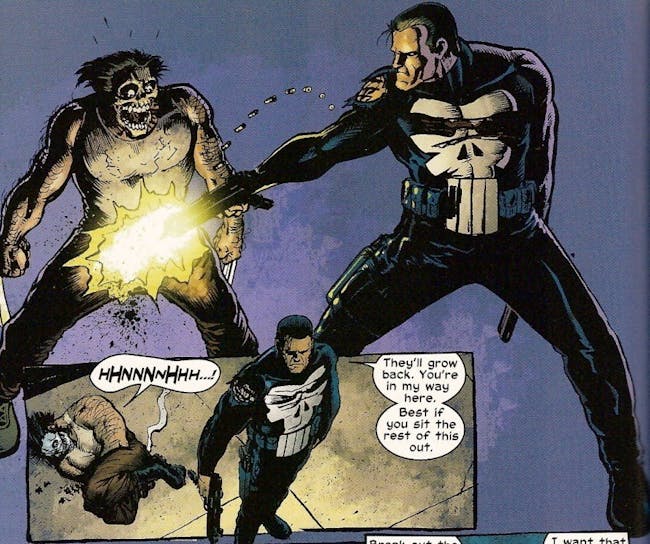 Wolverine Punisher