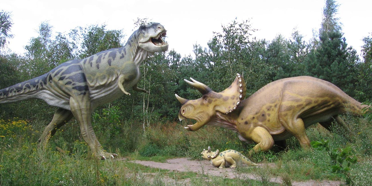 Montanas Dueling Dinosaur Fossils Hidden From Public View Inverse 