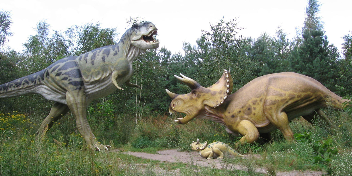 dueling dinosaurs t rex