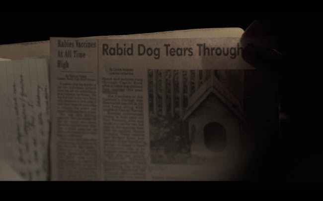 Cujo
