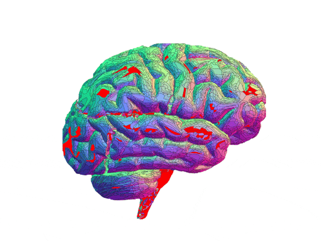 brainwaves eeg