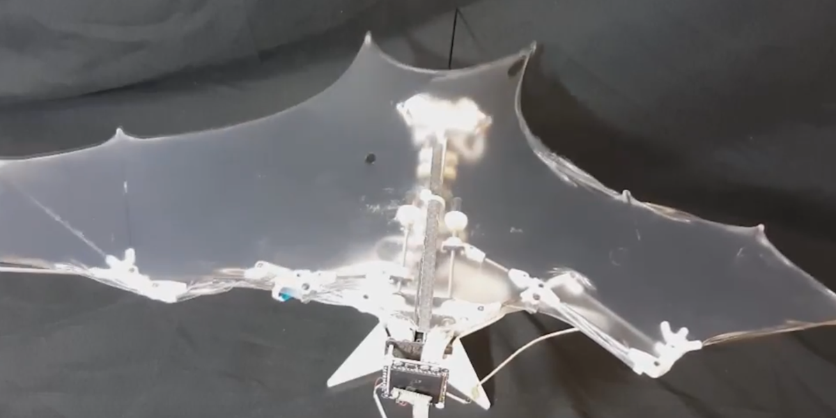 Researchers Develop a “Bat Bot” That's the “Holy Grail of Aerial ...