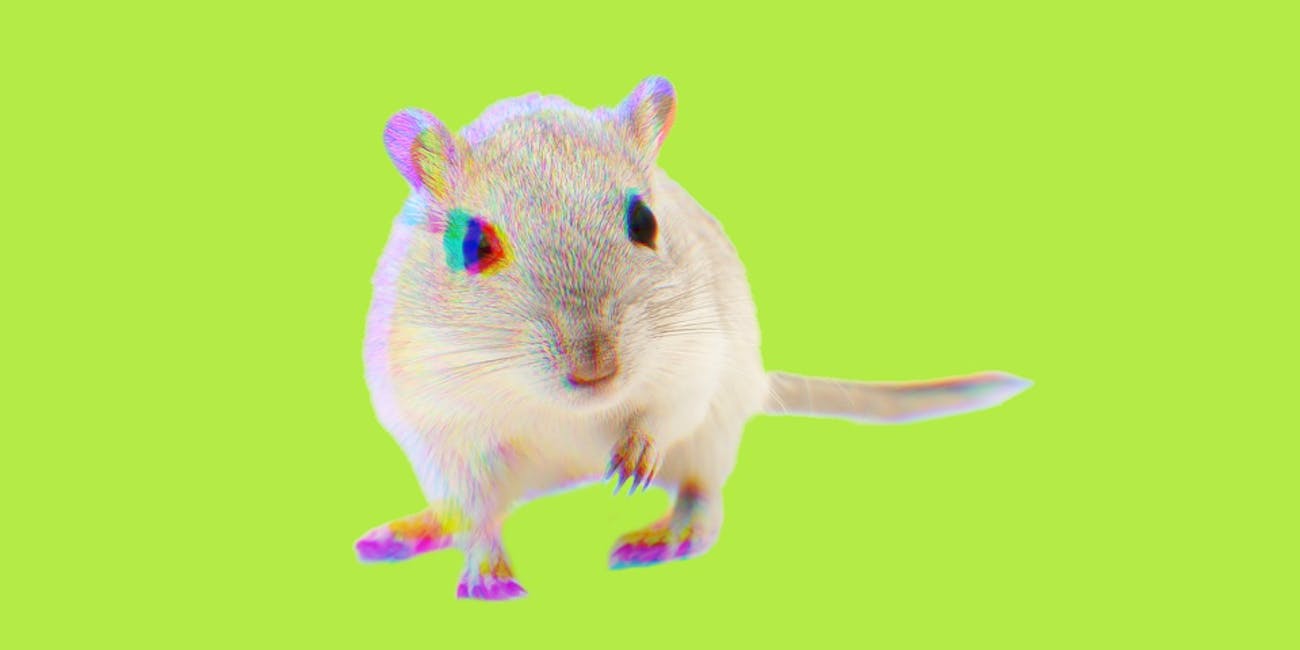 mouse lab