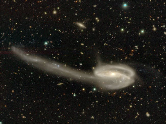Tadpole Galaxy