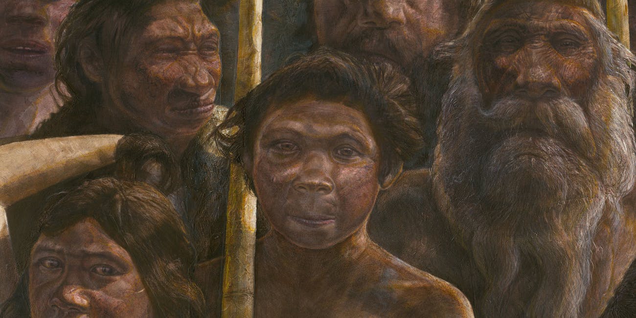 Sima de los Huesos hominins